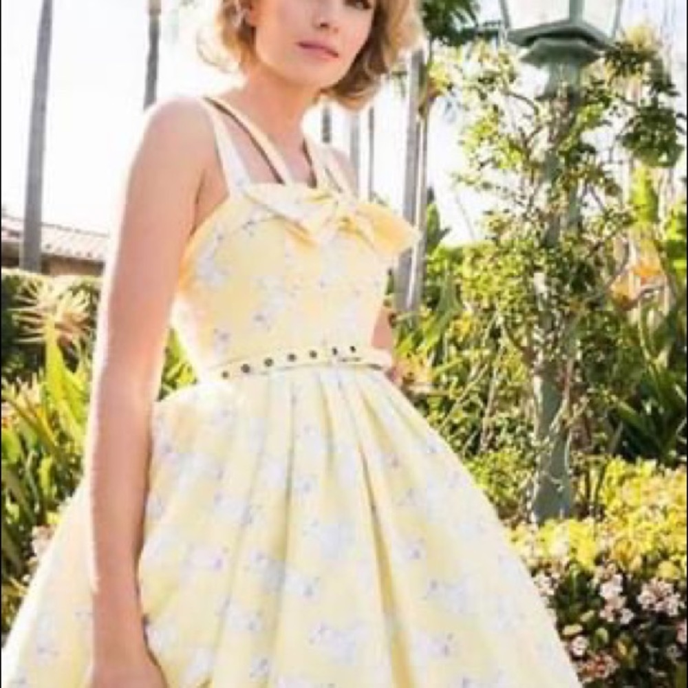 Jane Bryant X Unique Vintage Poodle Print dress